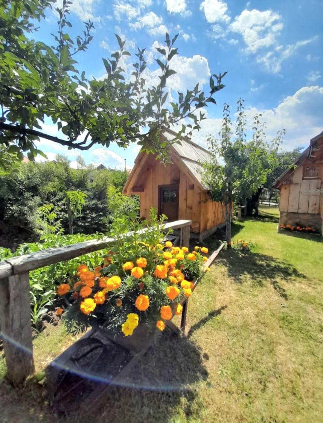 Etno Smjestaj Bjelasica Kolasin Bagian luar foto