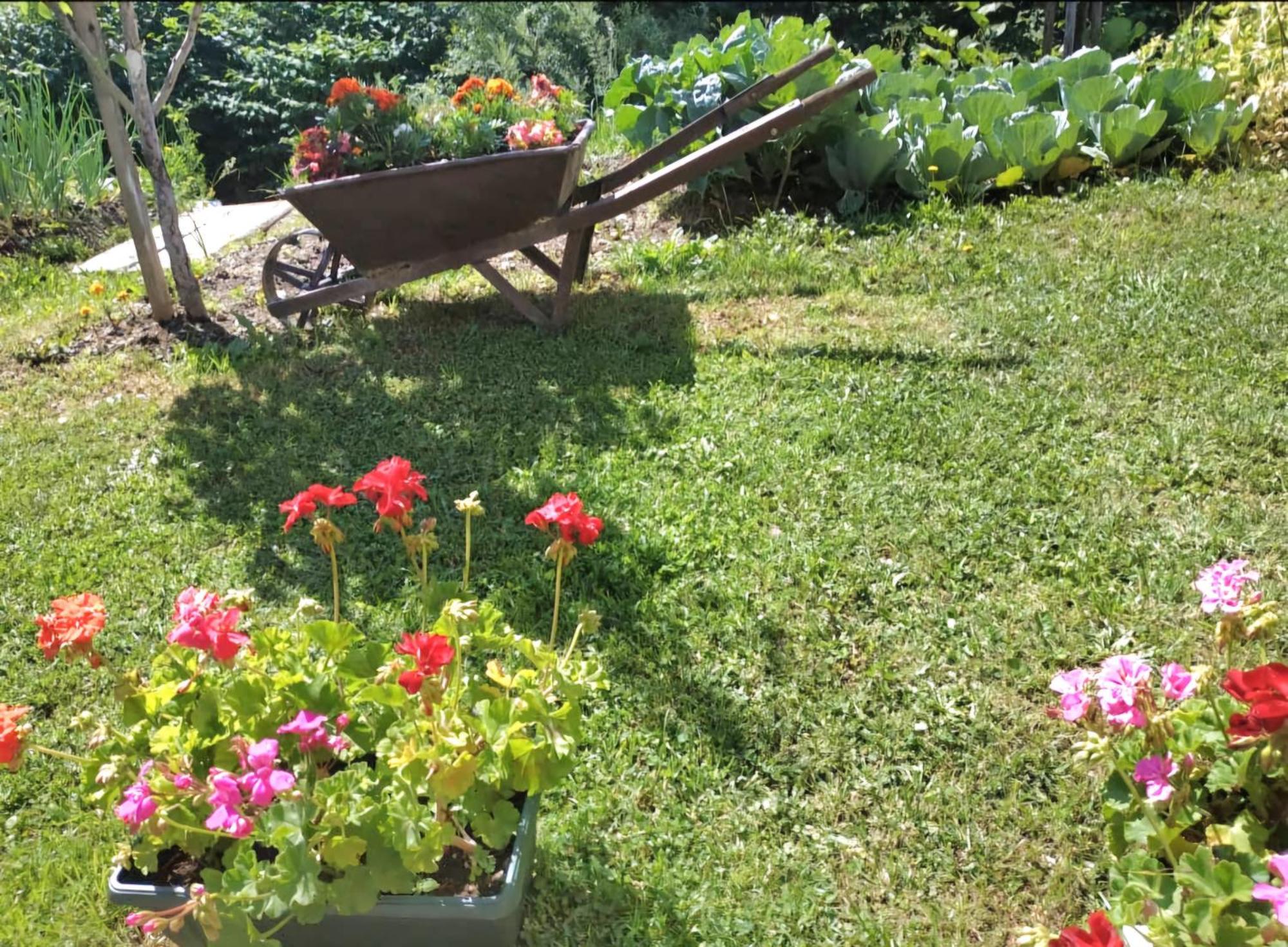 Etno Smjestaj Bjelasica Kolasin Bagian luar foto
